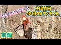 【最新】今日のパンチくんをお届けします🐵2026.3.11前編 市川市動植物園