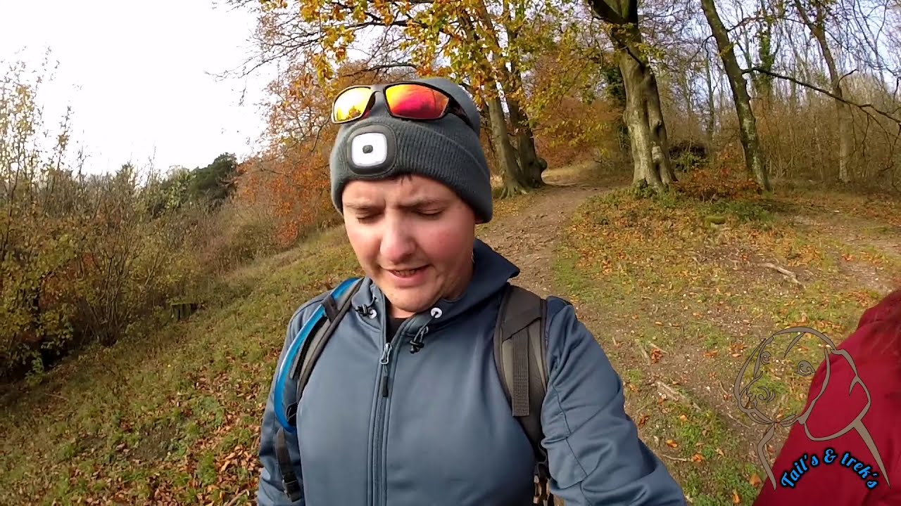 Ashford hanger a walk in north Hampshire 