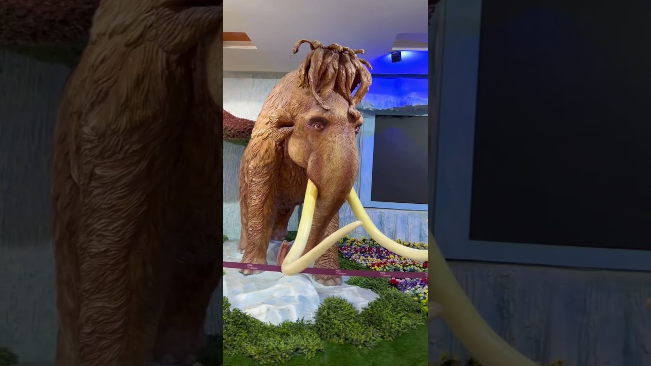 Snow Fantasy - Coming soon at Fiza by Nexus Mall, Mangalore