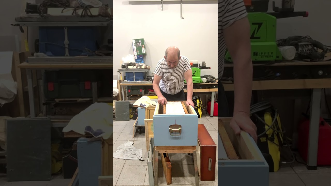 Մեղվաընտանիքի Վերևից կերակրումը և մոր փակելու կարևորությունը տարվա ցիկլի համար 24-02-26