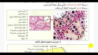 ملخص شامل للدرس الاول من مقطع الوراثة ( من تشكل الامشاج إلى الإلقاح)