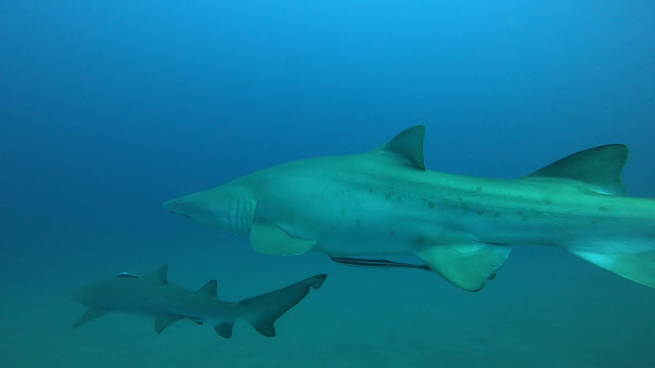 Hutton 20211215   4K