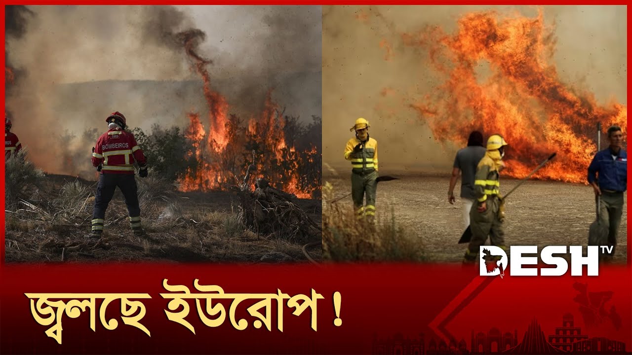 স্পেন-পর্তুগাল ও সিরিয়াতেও দাবানলের তাণ্ডব! | Portugal | Wildfires | Spain | Syria | Desh TV