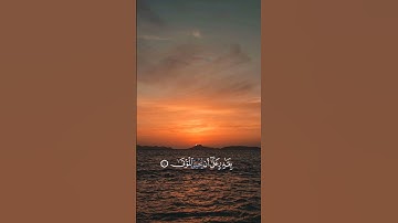 اليس ذلك بقادر على ان يحيى موتى | سورة القيامة| القارئ احمد النفيس|