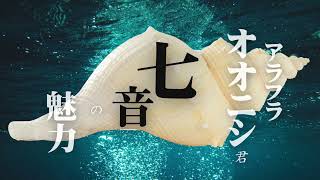 アラフラオオニシ貝 七音の魅力 - YouTube