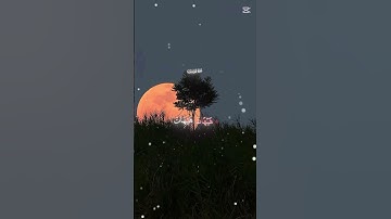 احترم القران الكريم ❤ || صلي على النبي 😊♥️ | #قرآن #قران_كريم