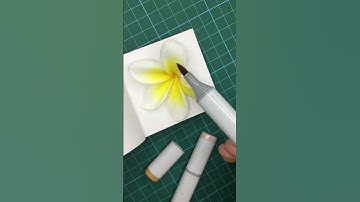 Coloring with Copic markers | How to draw a frangipani flower #shorts #markertutorial #markerdrawing