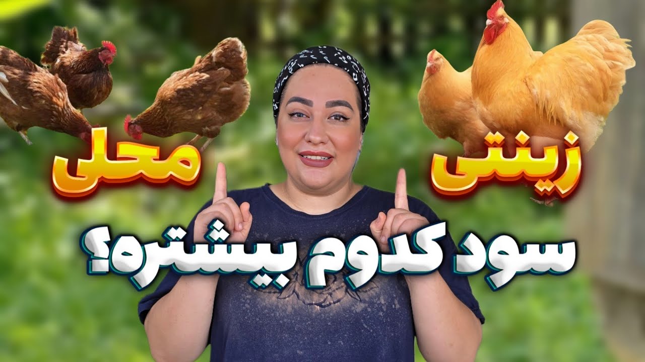 پرورش زینتی یا محلی؟ کدوم سود بیشتری داره؟؟