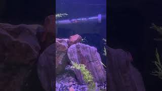 Ecosystem Update