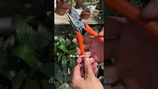 Kìm Điện Nhật Bản Fujiya APP-225 High Leverage Combination Pliers  富士矢  偏芯ペンチ Powerful Cut 225mm