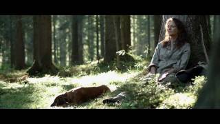 Die Wand - Ausschnitte Luchs Und Die Frau