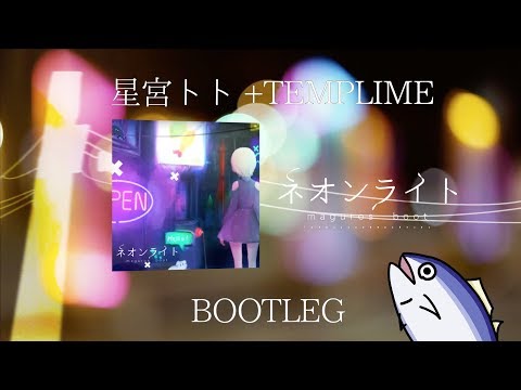 星宮とと+TEMPLIME - ネオンライト (maguros boot)