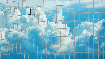 Nature Minute: How to Keep Birds From Flying Into Your Windows