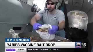 Rabies Vaccine Bait Drops To Begin This Weekend