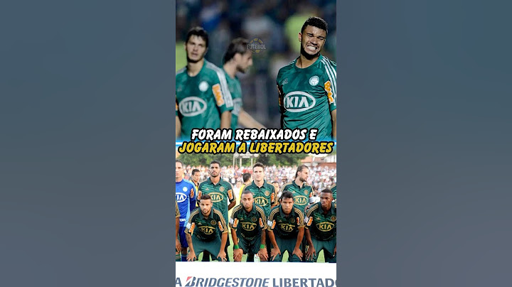 Esse time foi rebaixado e jogou a Libertadores #brasileirão #futebolbrasileiro #palmeiras