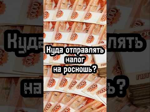 ЗАЧЕМ ВВОДИТЬ НАЛОГ НА РОСКОШЬ? Куда отправлять налоги? Люди должны платить больше налогов? #shorts