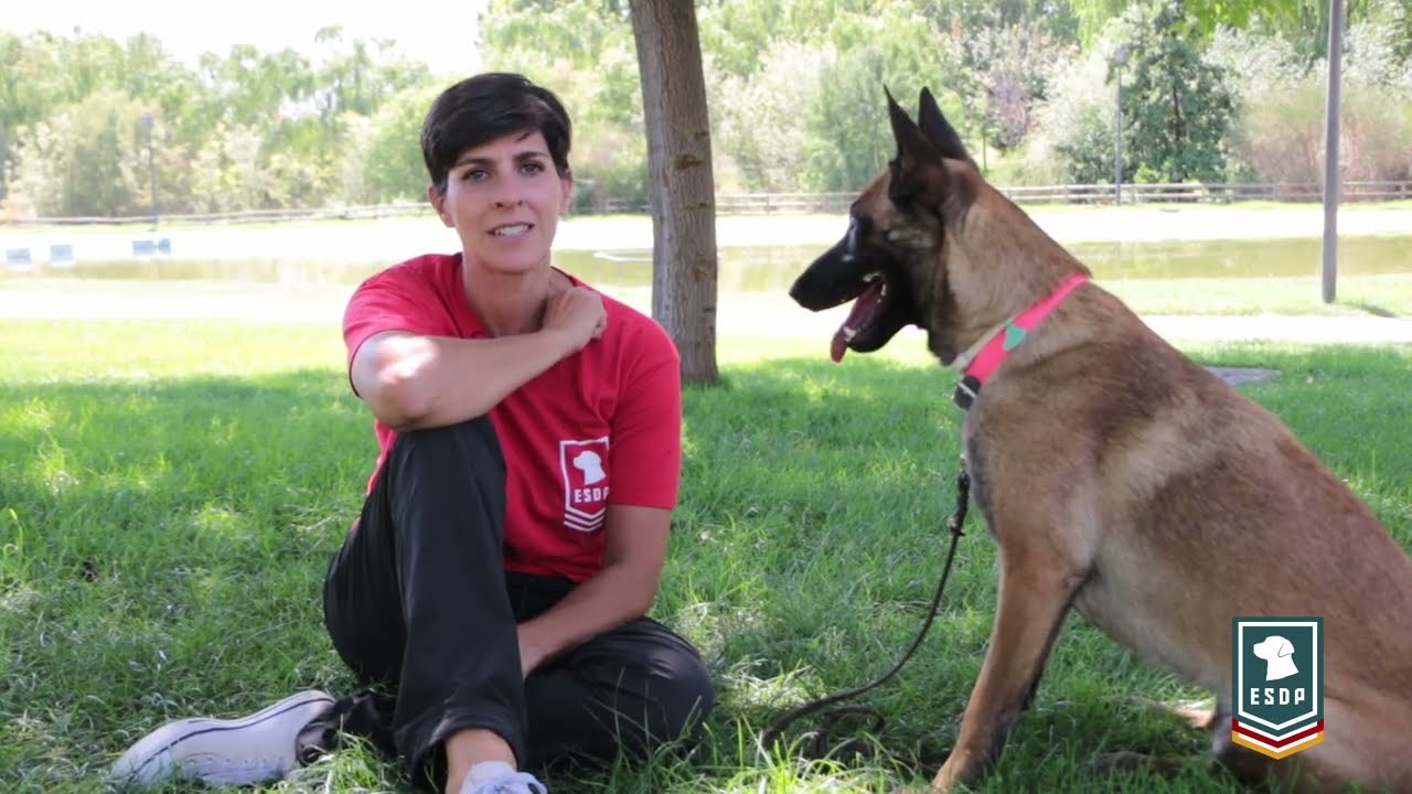 Guías caninos y voluntariado, el espíritu de la ESDP