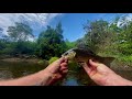 BASS FISHING