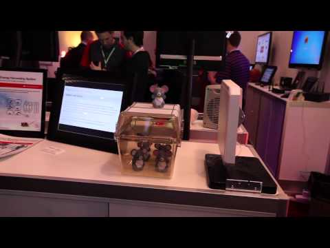 RF Energy Harvesting