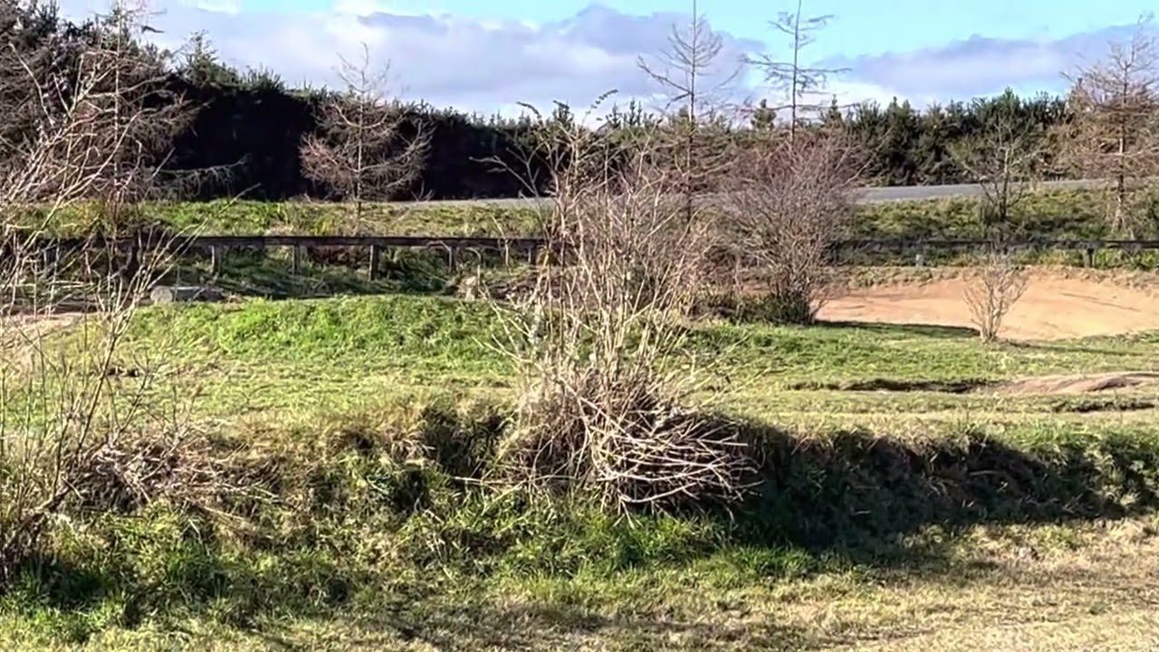 Tect park kids track