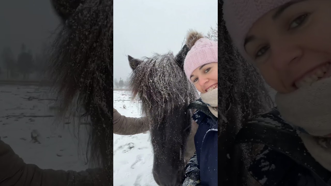A cavall pels boscos de l’àrtic #horse #snow #travel #winter #mountains #nature #adventure