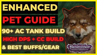 PF: WOTR ENHANCED - PET GUIDE: BEST PETS, 90+ AC TANK & DPS/CC BUILDS, Best BUFFS & GEAR