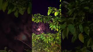 Real video #viral #nature #naturelovers #moon #night #photography #shortvideo #shorts #song #reels