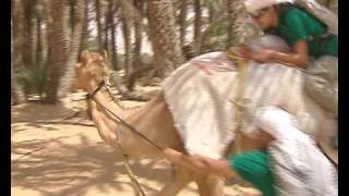 TON OF CASH Tanıtım Videosu Endemol Turkey