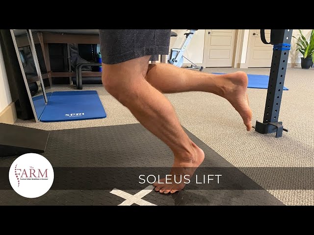 Soleus Exercises At Home