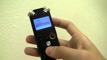 Eltrinex V12Pro - Reading filenames - voice recorder for visually impaired users