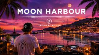 Kygo, Avicii and DJ Snake Style - Moon Harbour screenshot 5