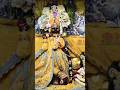 Shri Krishna Govind hare murari 🙏🙌#janamashtami #shorts #vrindavan #viral