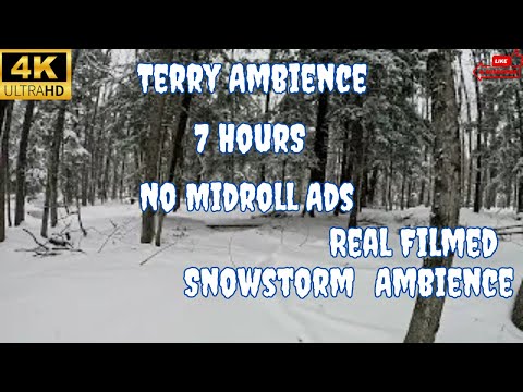 4k Real Forest Backyard Snowstorm Loop Ambience 7 Hours Full Screen 12 24 by Terry Ambience and Nature Videos