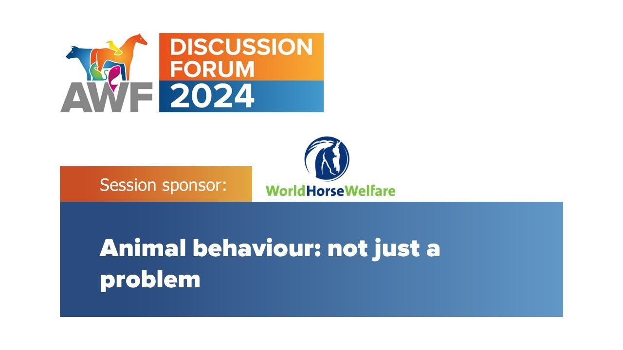 Discussion Forum 2024: Animal behaviour: not just a problem