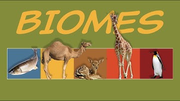 What is a BIOME? Nature