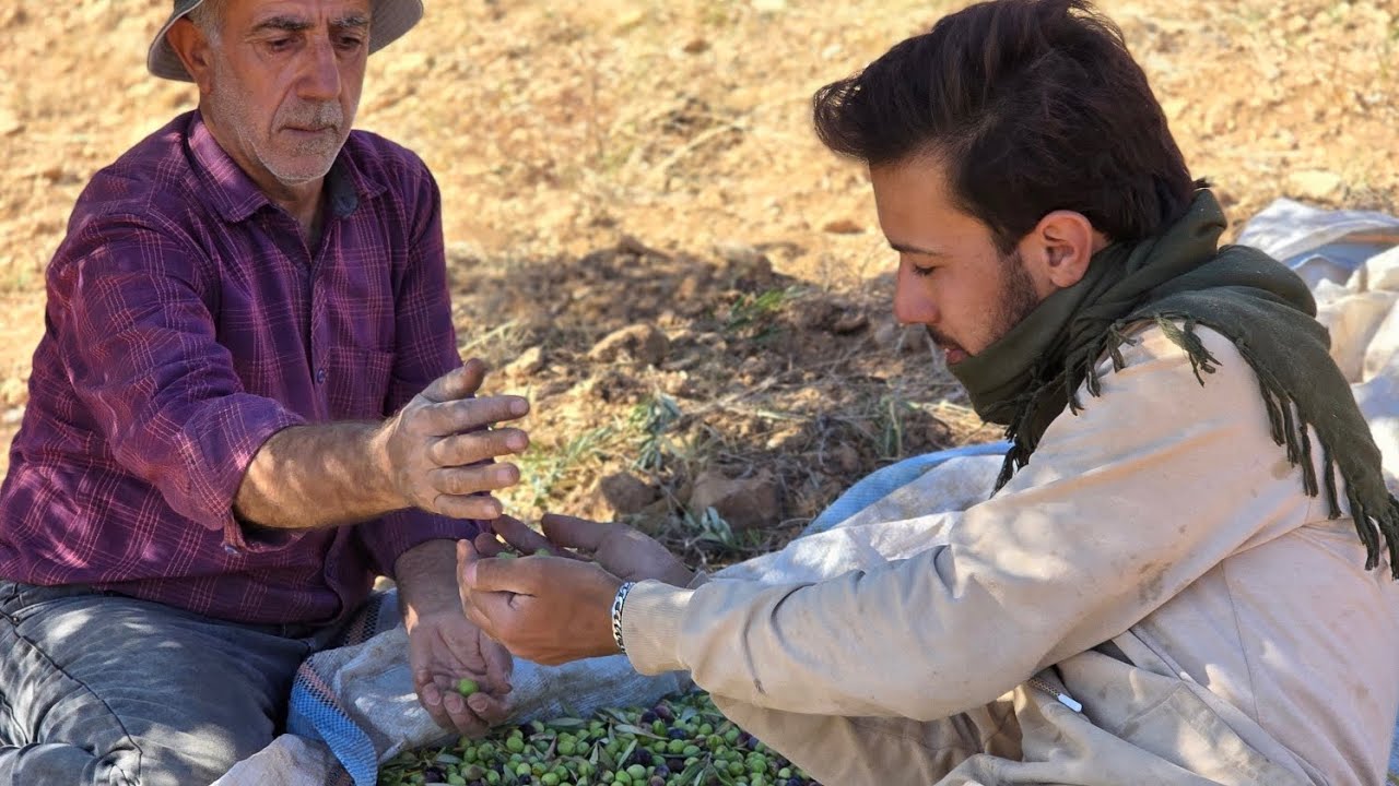 اجواء حواشه زيتون في عفرين شوفو الاجواء الحلوة 🤗🤭😱رجعنا بيت ماما شو ساوتلنا طبخ وستي كانت ضيفتنا