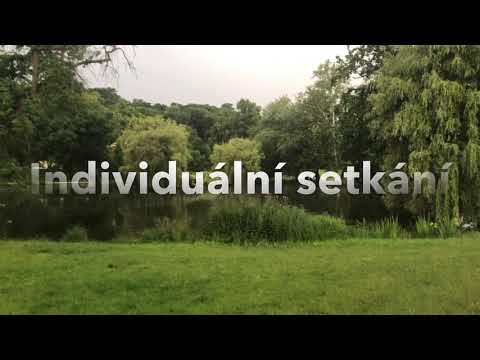 Video: TERAPEUTICKÉ SETKÁNÍ