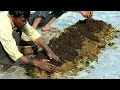 Preparing vermicompost        shashwat yogic kheti