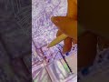 私達からみんなへ、卒業おめでとう🌸#卒業