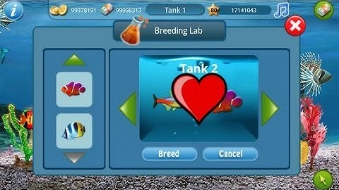 Unlimited Tap Fish Fishbucks Hack