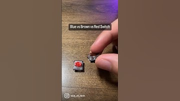 Difference Between a Blue, Brown and Red Keyboard Switch