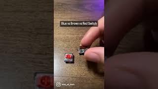 Difference Between a Blue, Brown and Red Keyboard Switch screenshot 1