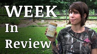 What HAPPENED On the Homestead? | July 1, 2017