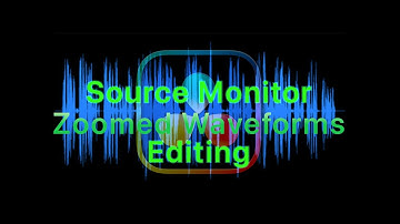 DaVinci Resolve 19   Source Waveform Viewer