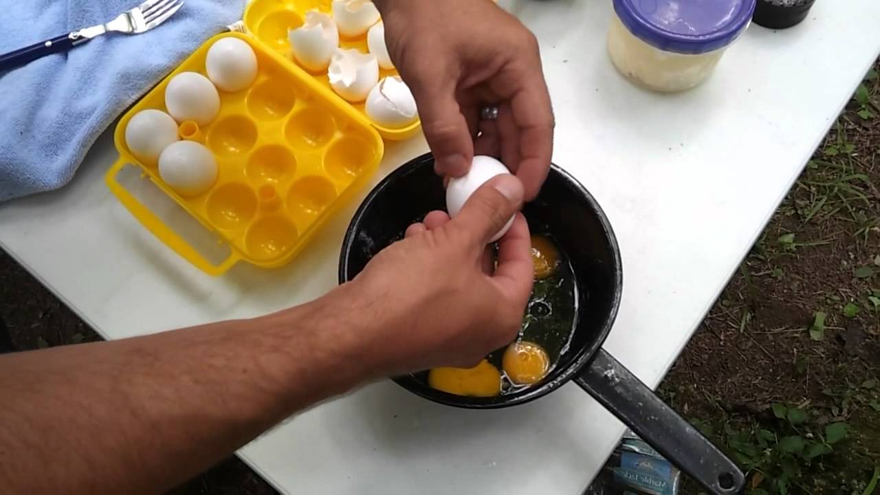 Camping with unrefrigerated eggs in 90'F YouTube
