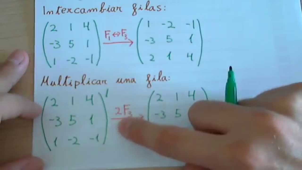 Filas Y Columnas Matrices