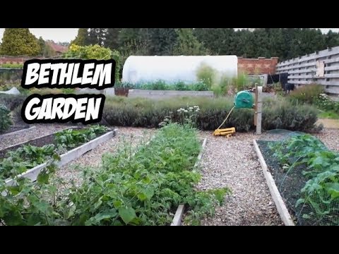 El Huerto de Bethlem Garden | #MolaMiHuerto