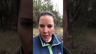 Beekman Trail Hike! Easy Beginner Hike for all ages!