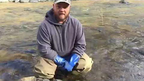 Dennis Doerr GGT Explorer Testimonial: Newest Flui...
