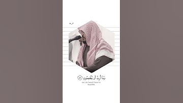 وَمَا خَلَقْتُ الْجِنَّ وَالْإِنْسَ إِلَّا لِيَعْبُدُونِ  القارئ #ماجد_الحازمي الوصف👇👇